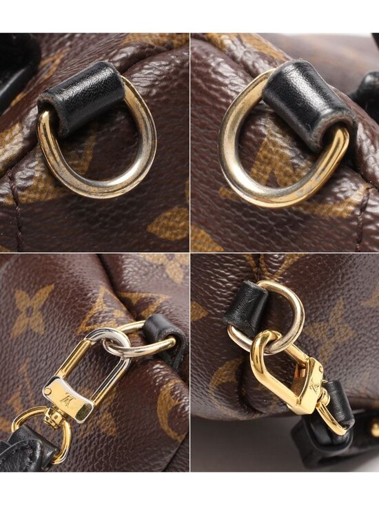 Louis Vuitton Backpack Palm Springs Mini Monogram